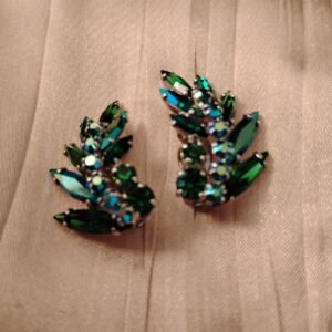 Exquisite Earings