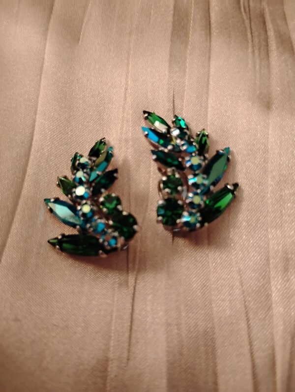 Exquisite Earings