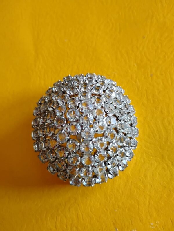 Gleaming Brooch